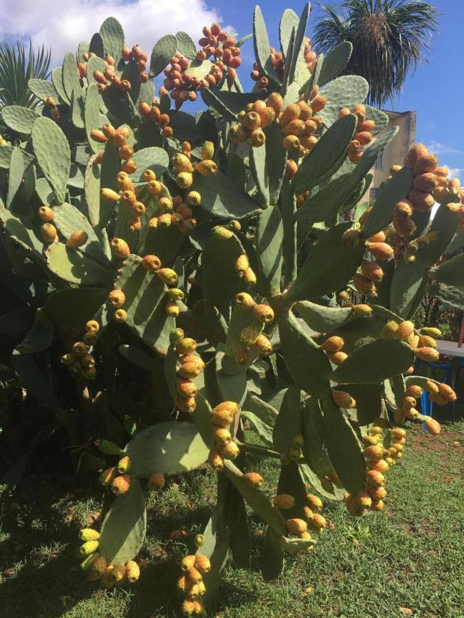 Il Giardino Degli Agrumi กาแซร์ตา ภายนอก รูปภาพ