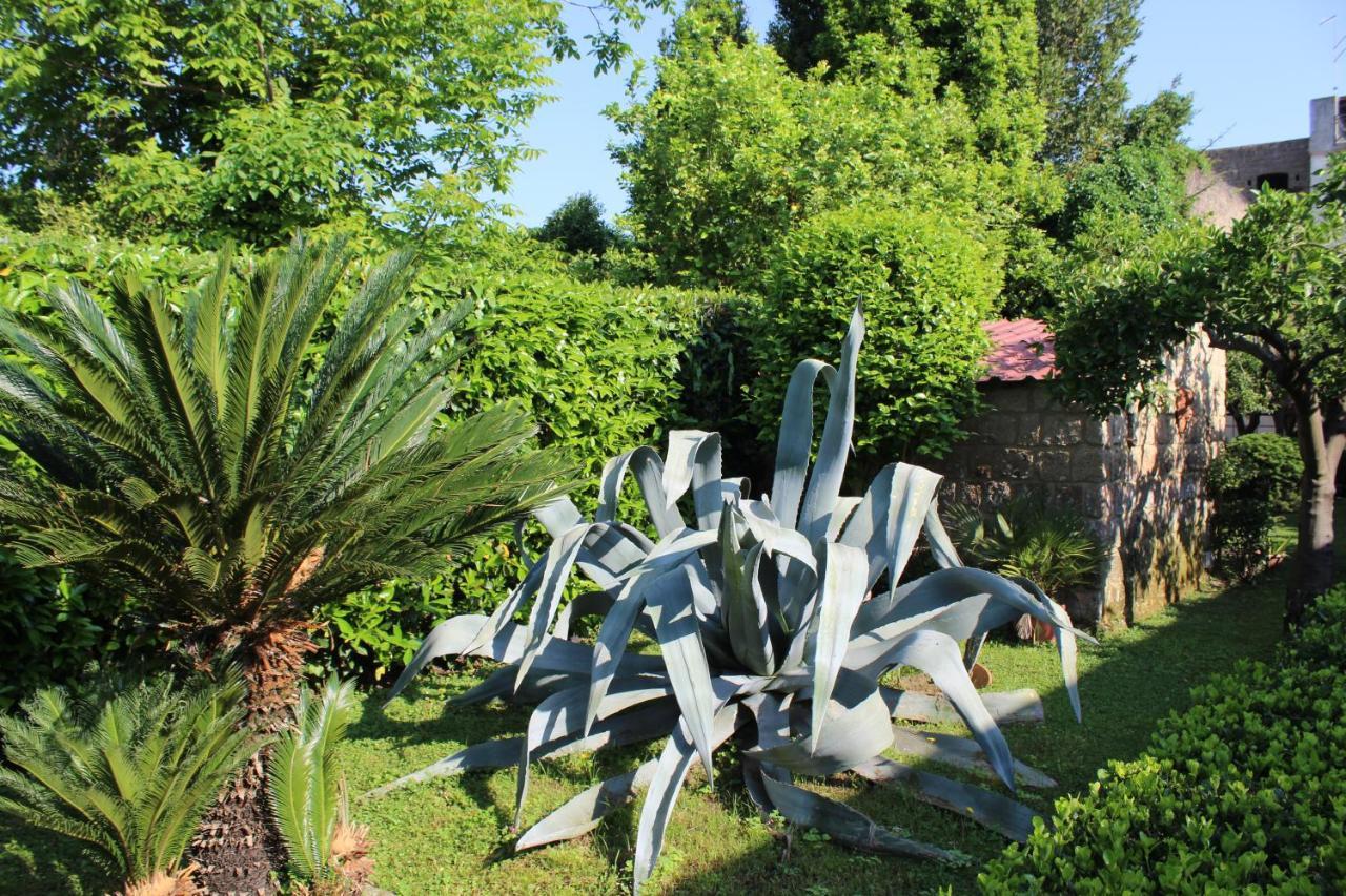 Il Giardino Degli Agrumi กาแซร์ตา ภายนอก รูปภาพ