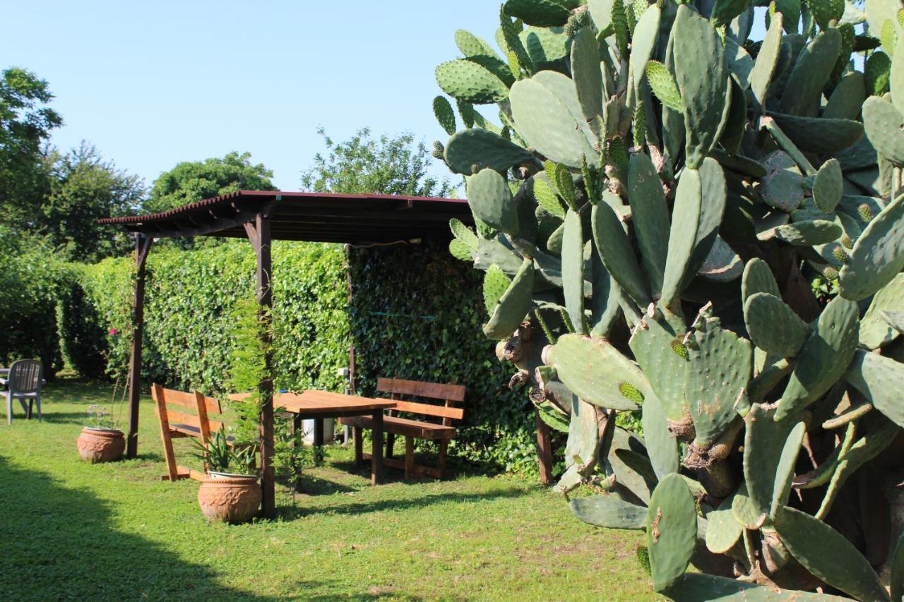 Il Giardino Degli Agrumi กาแซร์ตา ภายนอก รูปภาพ