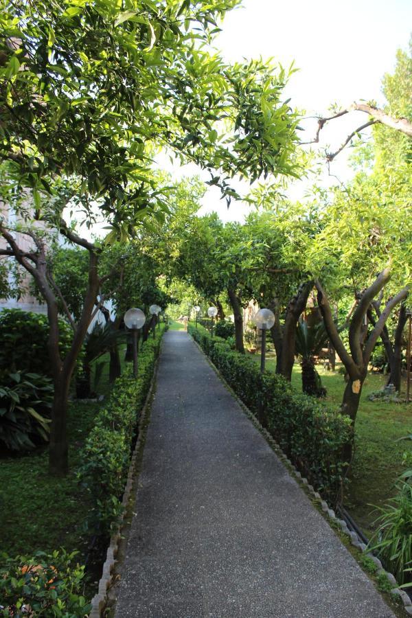 Il Giardino Degli Agrumi กาแซร์ตา ภายนอก รูปภาพ