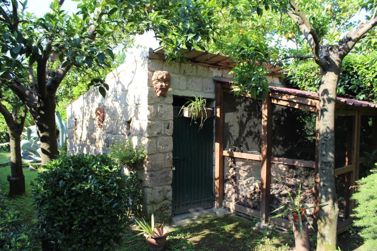 Il Giardino Degli Agrumi กาแซร์ตา ภายนอก รูปภาพ