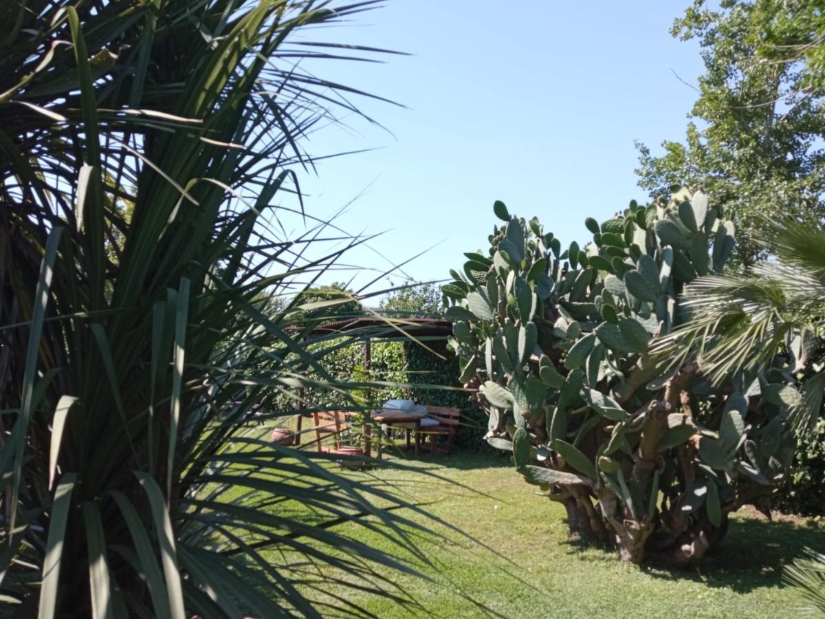 Il Giardino Degli Agrumi กาแซร์ตา ภายนอก รูปภาพ