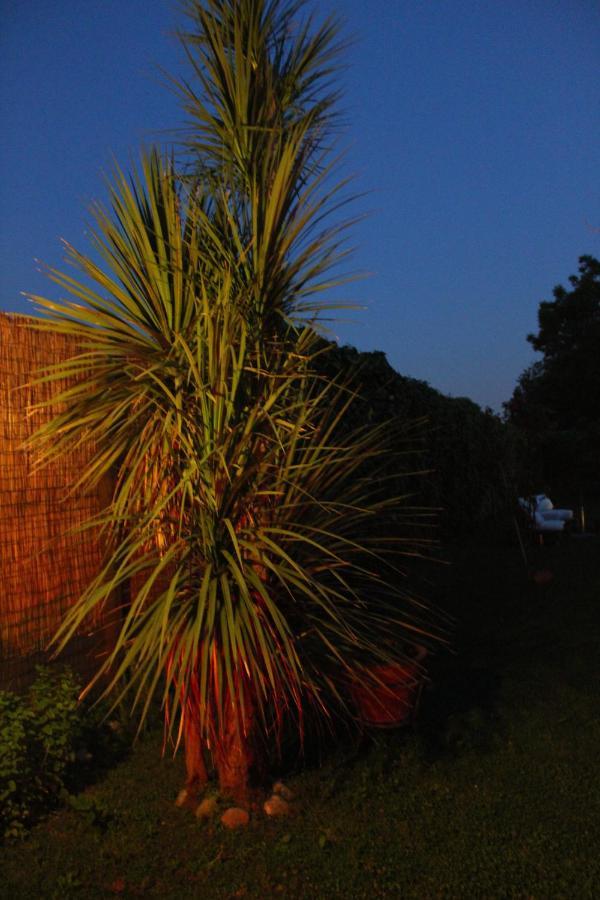 Il Giardino Degli Agrumi กาแซร์ตา ภายนอก รูปภาพ
