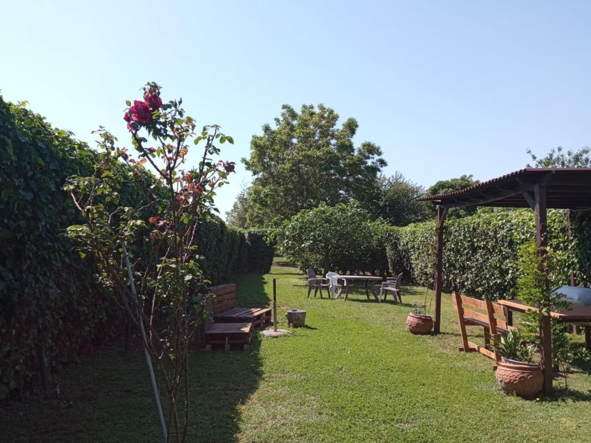 Il Giardino Degli Agrumi กาแซร์ตา ภายนอก รูปภาพ