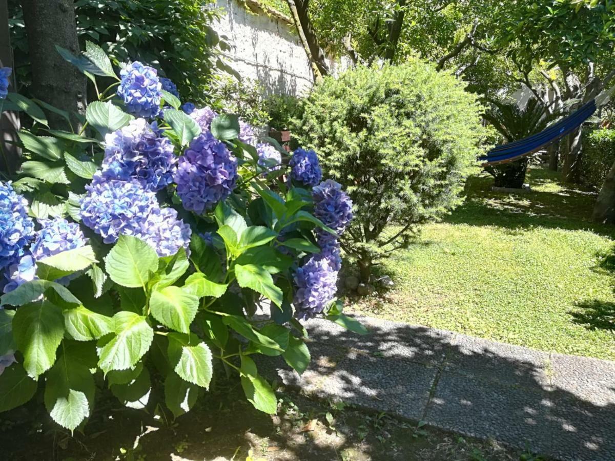 Il Giardino Degli Agrumi กาแซร์ตา ภายนอก รูปภาพ