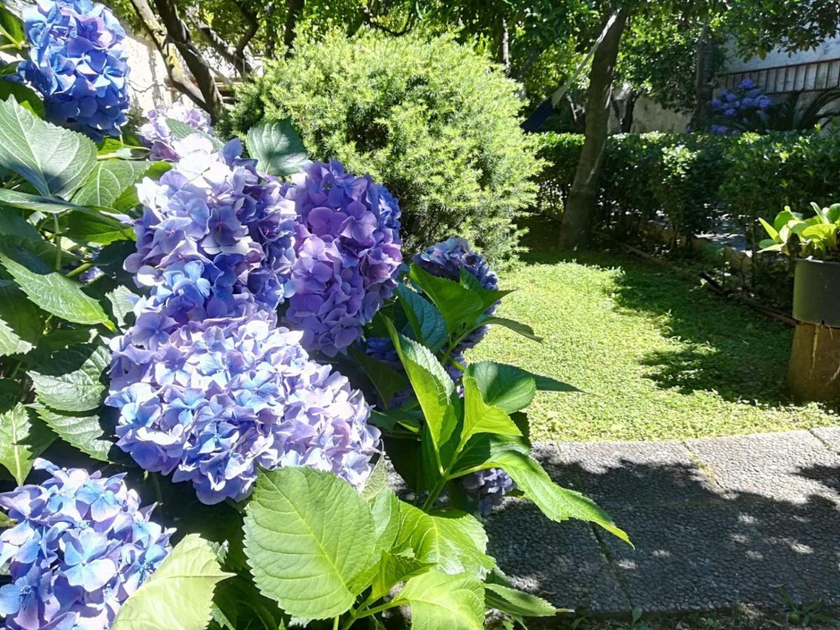Il Giardino Degli Agrumi กาแซร์ตา ภายนอก รูปภาพ